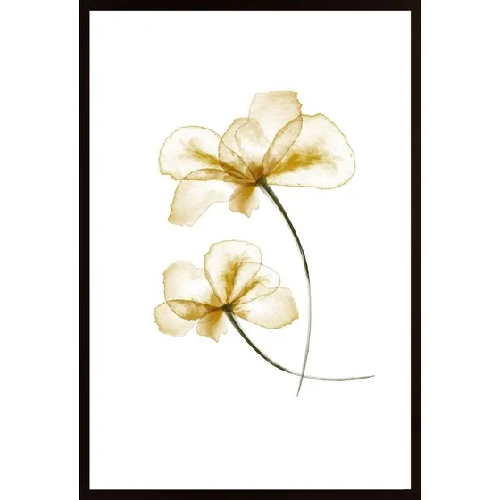 Pressed Flowers Poster