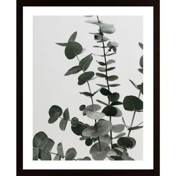 Eucalyptus Natural 07 Poster: En detalj som lyfter ditt hem