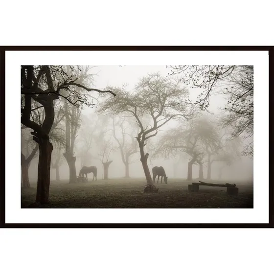 Horses In A Foggy Orchard Poster