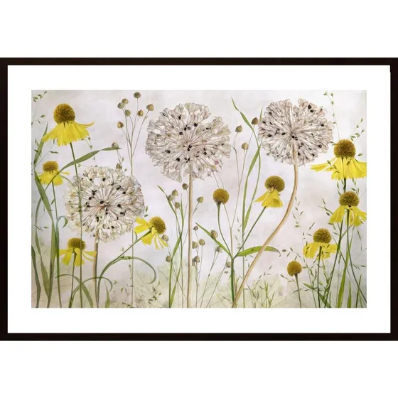 Alliums And Heleniums Poster
