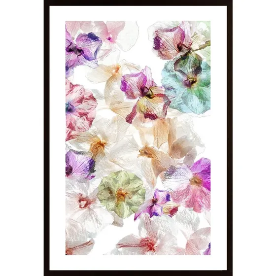 Ghost Orchids Poster