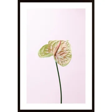 Flamingo Flower Poster: Ett Konstverk Med Exceptional Detaljer