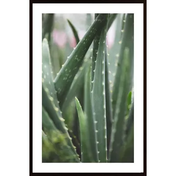 Cacti Poster: Ett Konstverk For Dig