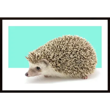Snygga upp med en Hedgehog Poster!