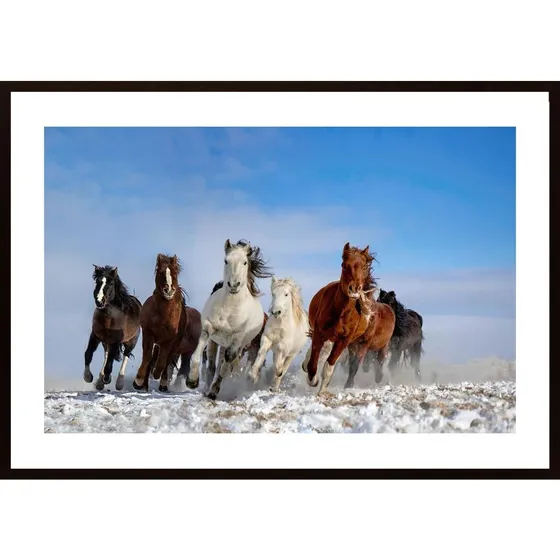 Mongolia Horses Poster