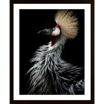 Crowned Crane'S Portrait Poster: En f�rgylld dekoration f�r ditt hem