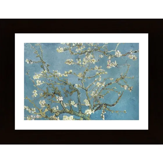 Vincent Van Goghs Almond Blossom 1890 Poster