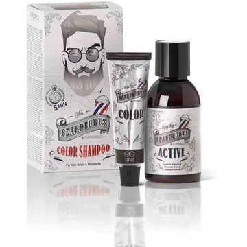 Beardburys Color Shampoo Grå/Silver: Uppfriska Ditt Skägg och Hår