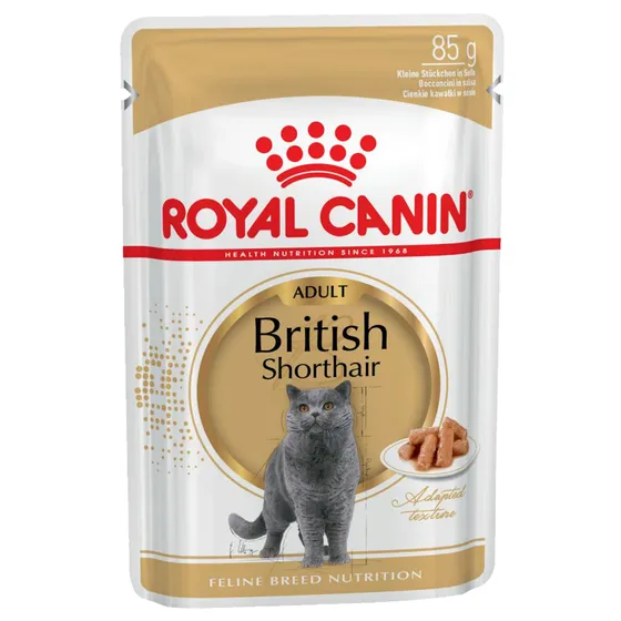 Royal Canin British Shorthair Adult i sås - 12 x 85 g