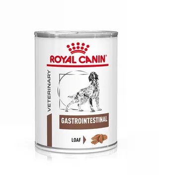 Royal Canin Veterinary Canine Gastrointestinal Mousse: Stöd för hundar med mag-tarmproblem